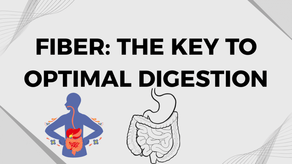 Fiber: The Key to Optimal Digestion