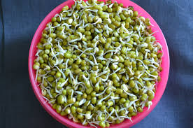 Sprouted Moong Daal