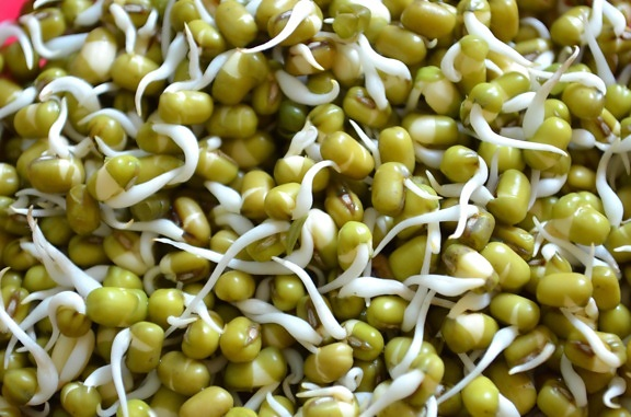Moong Daal Sprouts