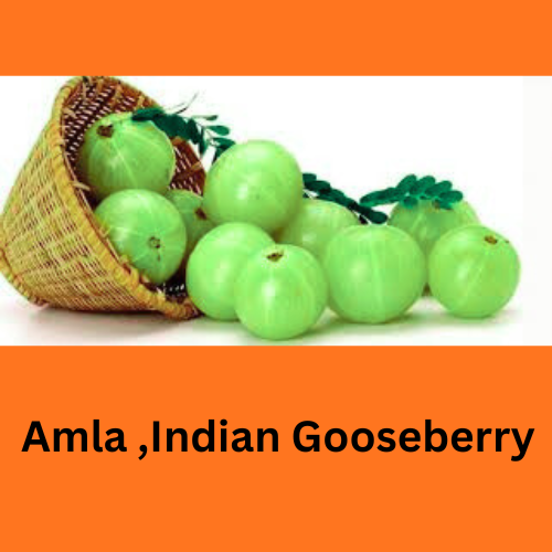 Amla, Indian Gooseberry