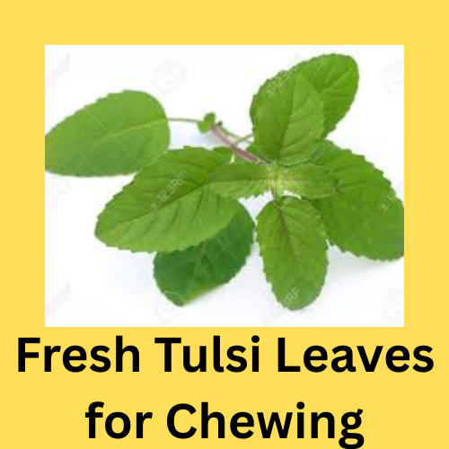 Fresh Tulsi Leaves For Chewing