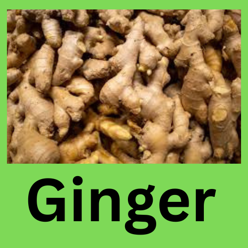 Ginger