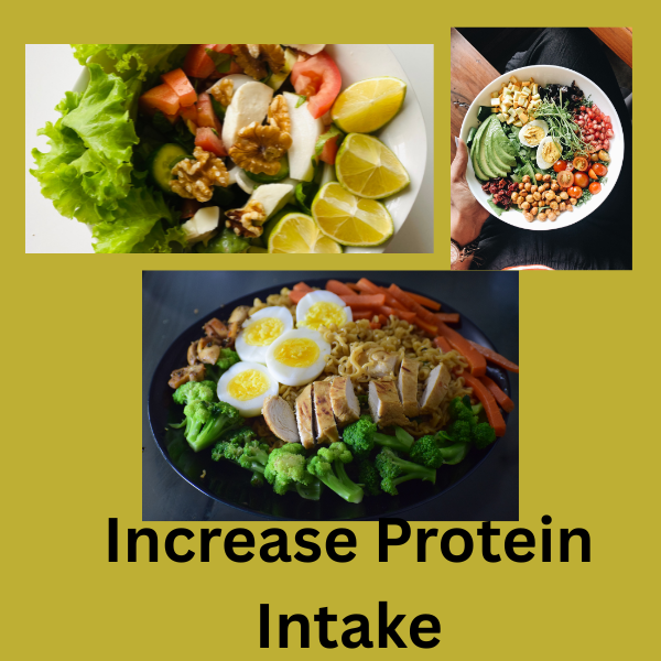 Increase Protein Intake