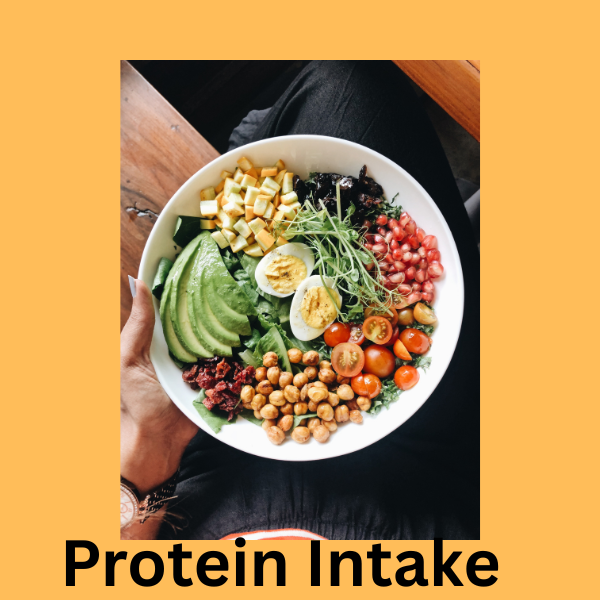 Protein Intake