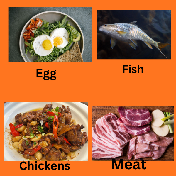 Best Protein Rich Foods In Non-Vegetarian