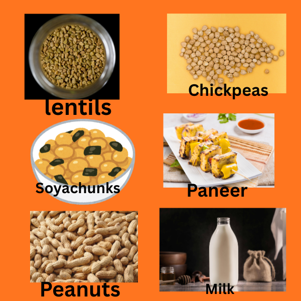 Best Protein Rich Foods In Vegetarian