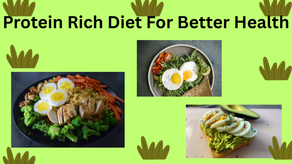 Protein Rich Diet For Better Health