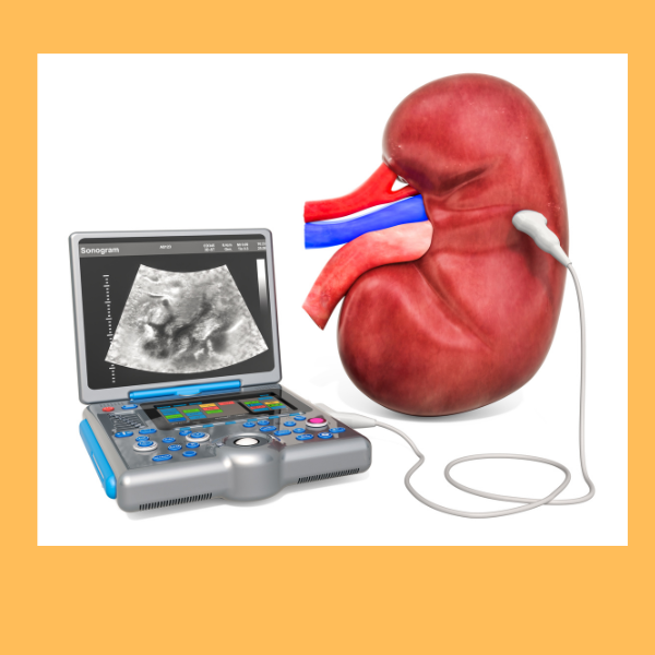 Kidney Problem