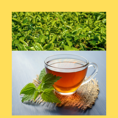 Chai ki shuruaat kaise hui