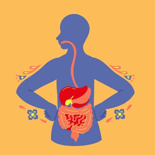 digestion
