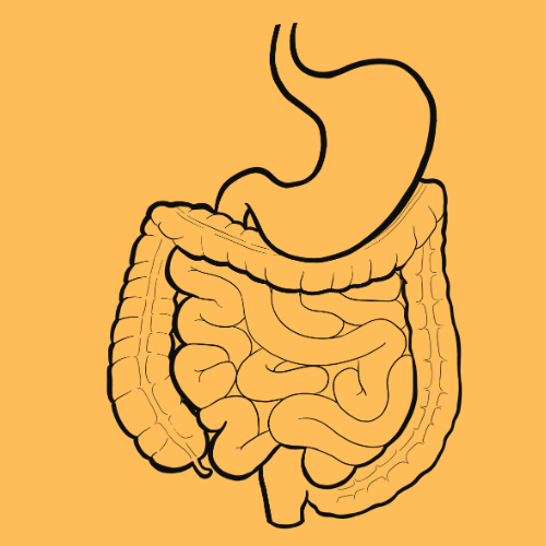digestion ke lakshan