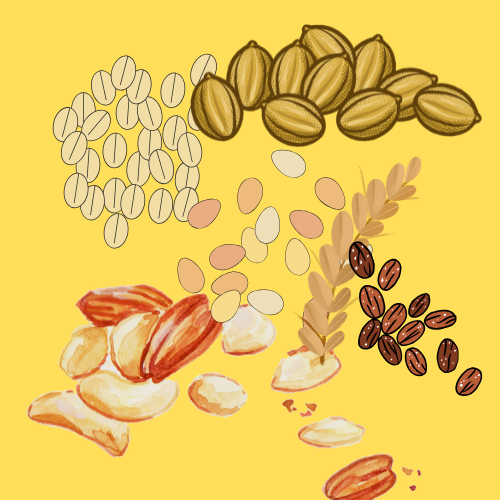 whole grains
