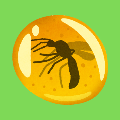 malaria
