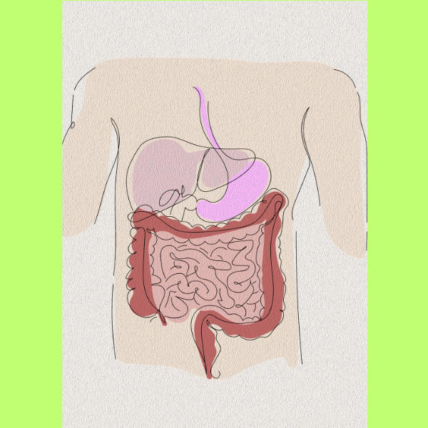 behtar digestion