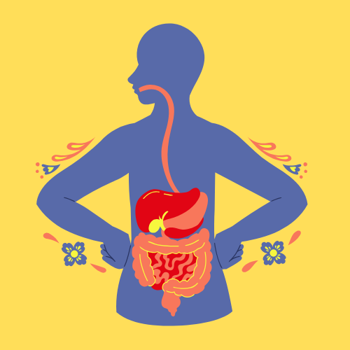 digestion